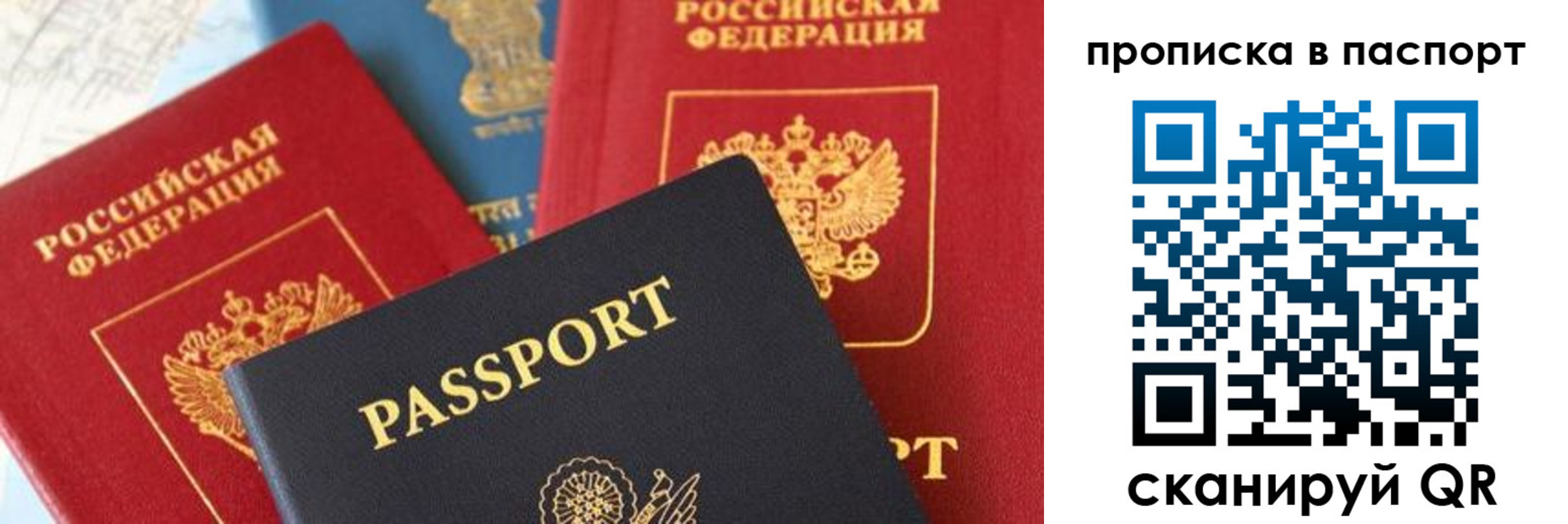 найти адрес прописки в Светлом